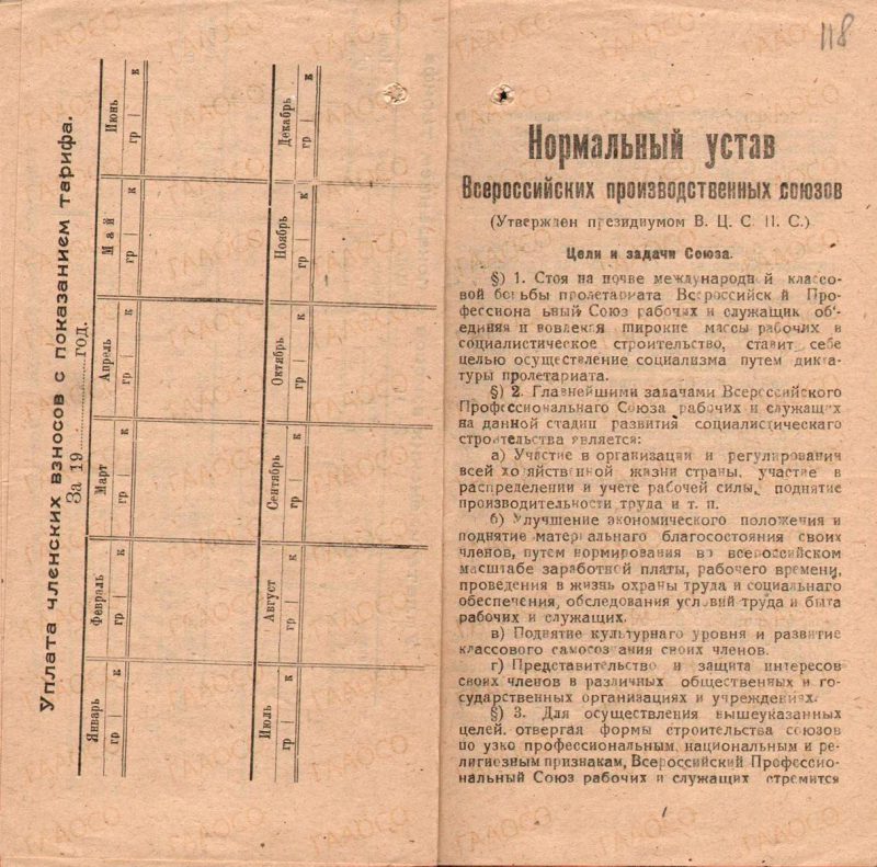 Членская книжка союза аптечных работников г. Екатеринбурга № 207 Струнникова В.И.. 1919 г. (ГААОСО. Ф. Р-1. Оп. 2. Д. 47314. Л.118)